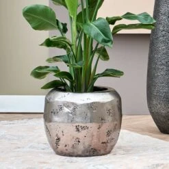 Opus Raw Couple Planter - Silver -Plants Sale Store Opus Raw Couple Planter Silver