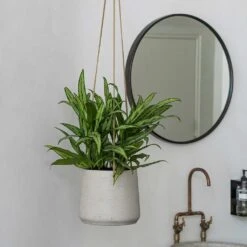Patt Hanging Plant Pot - Grey Washed -Plants Sale Store Patt Hanging Plant Pot Grey Washed