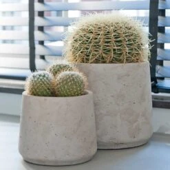Patt Plant Pot - Grey Washed 29 Patt Plant Pot - Grey Washed -Plants Sale Store Patt Plant Pot Grey Washed Cacti