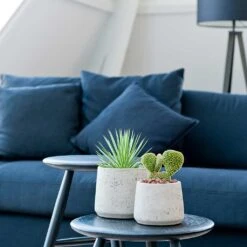 Patt Plant Pot - Grey Washed 25 Patt Plant Pot - Grey Washed -Plants Sale Store Patt Plant Pot Grey Washed Houseplants