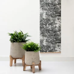 Patt Plant Pot - Low Stand - Grey Washed 12 Patt Plant Pot - Low Stand - Grey Washed -Plants Sale Store Patt Plant Pot Low Stand Grey Washed Lifestyle 01