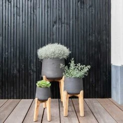 Patt Plant Pot - Tall Stand - Black Washed -Plants Sale Store Patt Plant Pot Tall Stand Black Washed Lifestyle 01