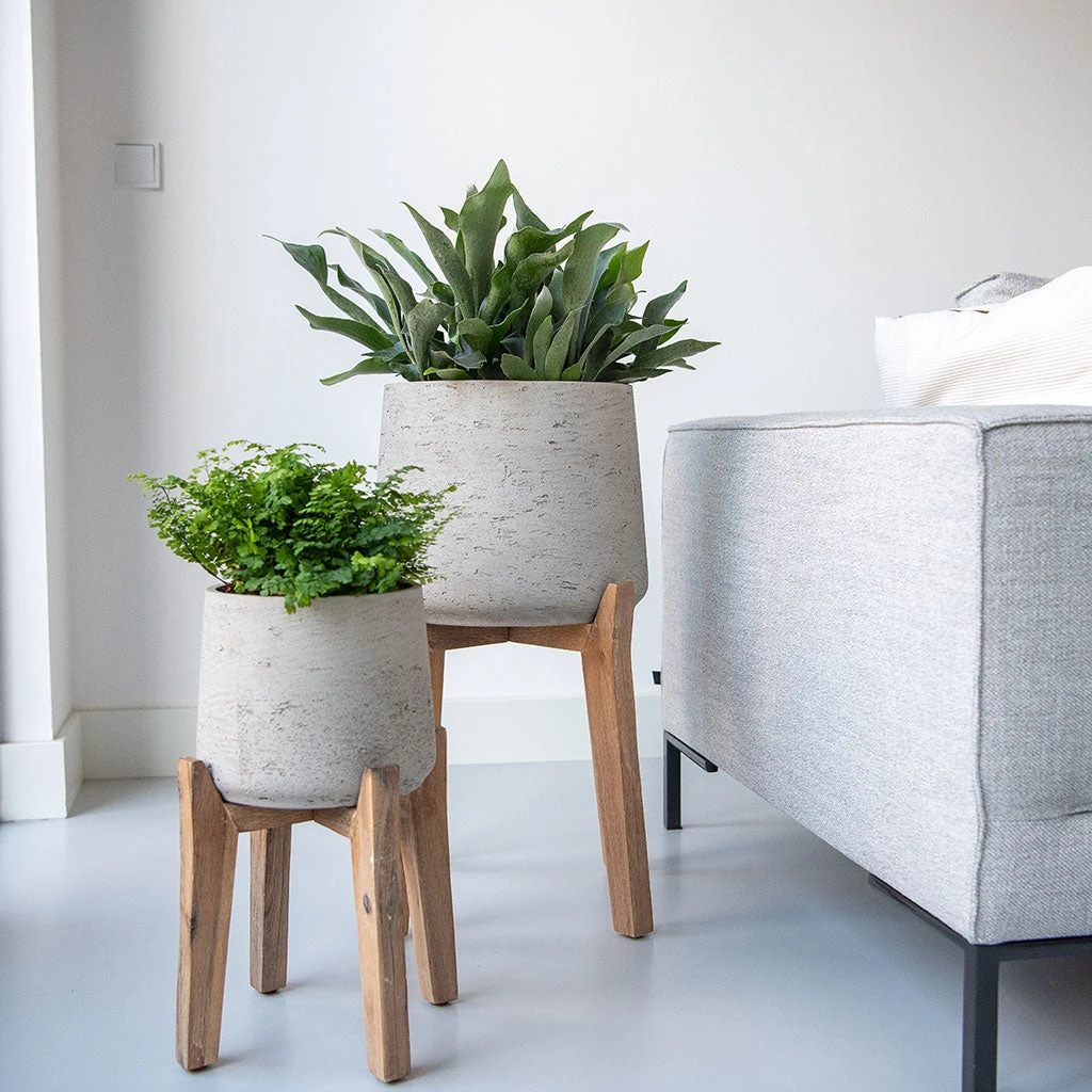 Patt Plant Pot - Tall Stand - Grey Washed 4 Patt Plant Pot - Tall Stand - Grey Washed - Image 2