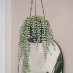 Patt Hanging Plant Pot - Black Washed -Plants Sale Store PattHangingPlantPot BlackWashed 3