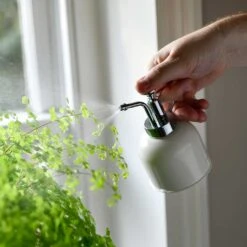 Indoor Plant Mister - Stone -Plants Sale Store Plant Mister Stone Houseplants