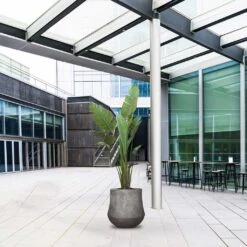 Polystone Coated Darcy Planter - Raw Grey -Plants Sale Store Polystone Coated Darcy Planter Raw Grey LS1