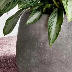 Polystone Coated Plain Balloon Planter - Raw Grey -Plants Sale Store Polystone Coated Plain Balloon Planter Raw Grey Lifestyle Close