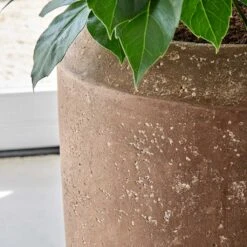 Polystone Coated Plain Coppa Planter - Rock -Plants Sale Store Polystone Coated Plain Coppa Planter Rock 1