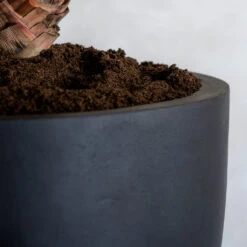 Jesslyn Natural Planter - Black -Plants Sale Store ProductsJesslynNaturalPlanter Black 2