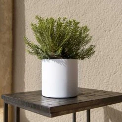 Puk Essentials Planter - Matt White -Plants Sale Store Puk Planter Matt White Outdoor Plant