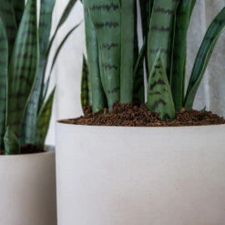 Puk Refined Planter - Natural White -Plants Sale Store Puk Refined Planter Natural White Lifestyle 002