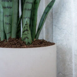 Puk Refined Planter - Natural White -Plants Sale Store Puk Refined Planter Natural White Lifestyle 003