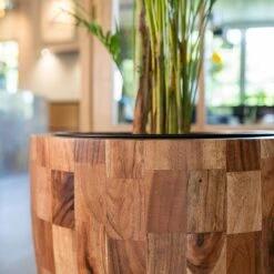 Quinn Planter - Natural -Plants Sale Store Quinn Natural 4