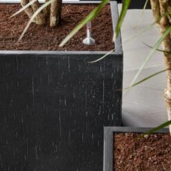 Raindrop Cube Planter - Anthracite -Plants Sale Store Raindrop Cube Anthracite 2