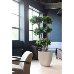 Raindrop Egg Planter - Stone -Plants Sale Store Raindrop Egg Planter Stone Indoor Plants