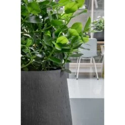 Raindrop Tube Round Planter - Anthracite -Plants Sale Store Raindrop Planters Anthracite Texture