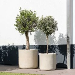 Raindrop Round Planter - Stone -Plants Sale Store Raindrop Round Planter Stone Outdoor Trees