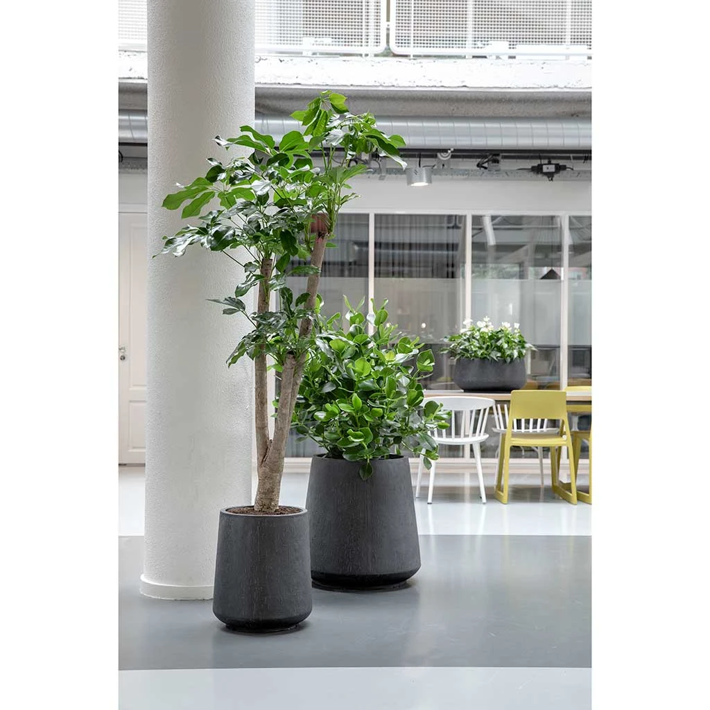 Raindrop Tube High Round Planter - Anthracite 5 Raindrop Tube High Round Planter - Anthracite - Image 3