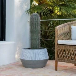 Low Harley Plant Pot - Ridged White Stripe -Plants Sale Store Ridged Low Harley Plant Pot White Stripe Large Cactus