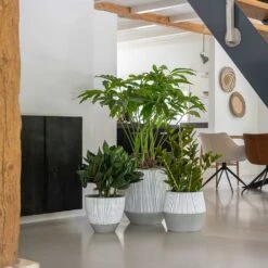 Harley Plant Pot - Ridged White Stripe -Plants Sale Store Ridged White Stripe Planters