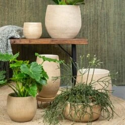 Ryan Plant Pot - Sand Gold -Plants Sale Store Ryan Plant Pot Sand Gold