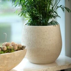 Ryan Plant Pot - Sand Gold -Plants Sale Store Ryan Plant Pot Sand Gold Parlour Palm