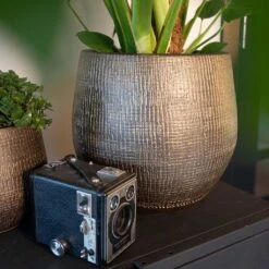 Ryan Plant Pot - Shiny Gold -Plants Sale Store Ryan Plant Pot Shiny Gold Lifestyle 02