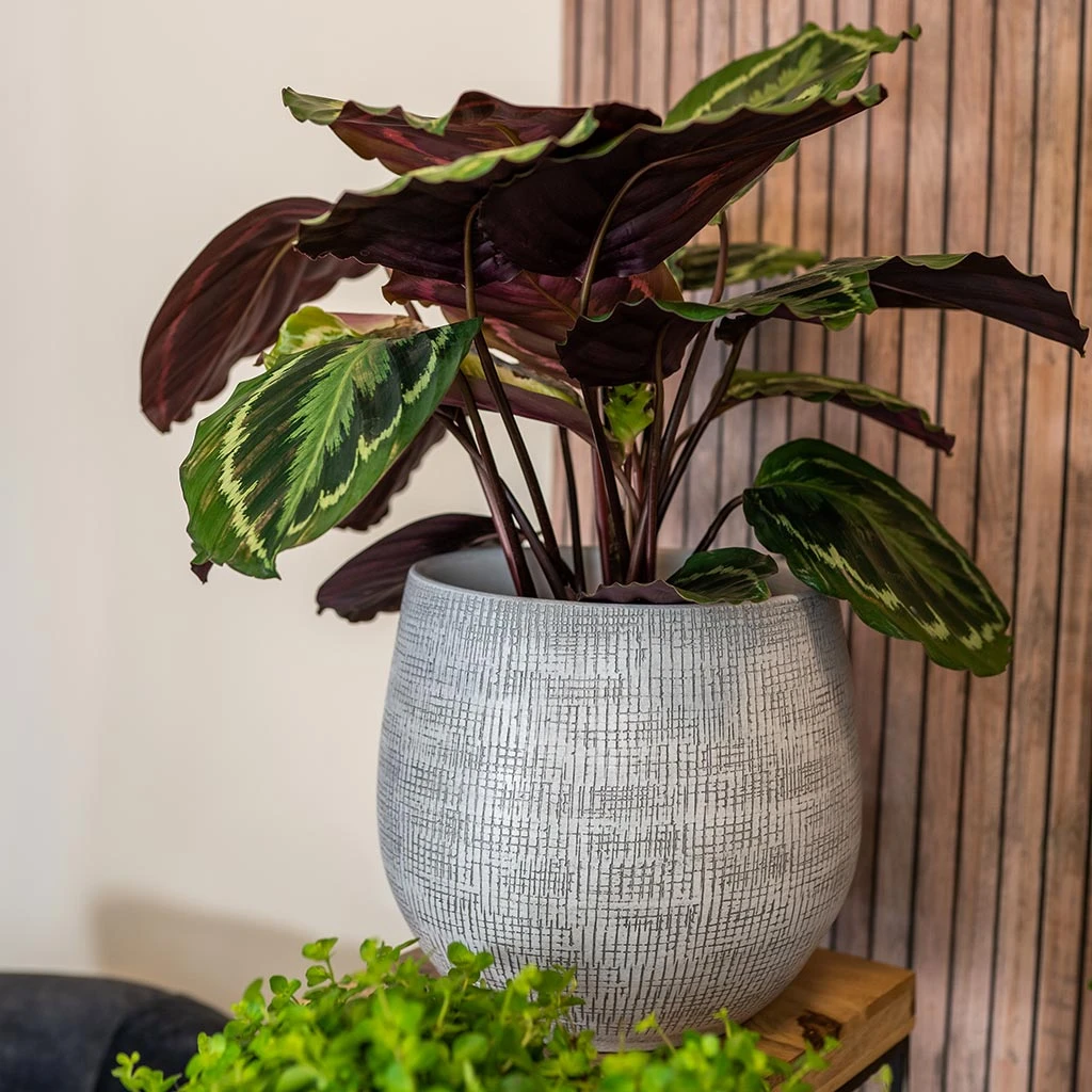 Ryan Plant Pot - White Black 4 Ryan Plant Pot - White Black - Image 2