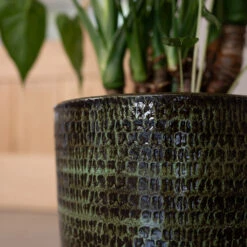 Sanna Plant Pot - Moss Green 22 Sanna Plant Pot - Moss Green -Plants Sale Store Sanna Moss Green 2