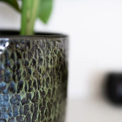 Sanna Plant Pot - Moss Green 32 Sanna Plant Pot - Moss Green -Plants Sale Store Sanna Moss Green 5