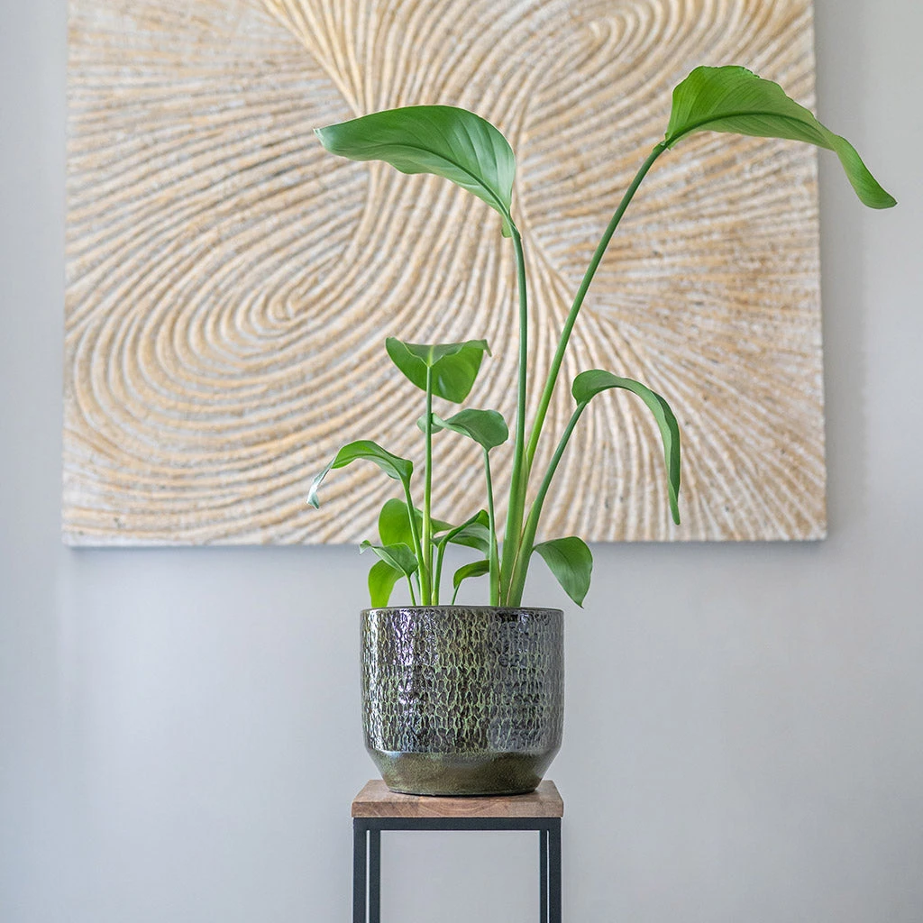 Sanna Plant Pot - Moss Green 11 Sanna Plant Pot - Moss Green - Image 9