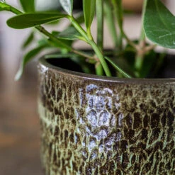 Sanna Plant Pot - Moss Green 27 Sanna Plant Pot - Moss Green -Plants Sale Store Sanna Moss Green 9