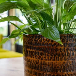 Sanna Plant Pot - Savanna -Plants Sale Store Sanna Savana 2
