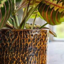 Sanna Plant Pot - Savanna -Plants Sale Store Sanna Savana 6