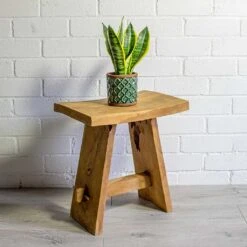 Sansevieria Trifasciata Futura Superba -Plants Sale Store Sansevieria trifasciata Futura Superba liam turquoise plant pot natural