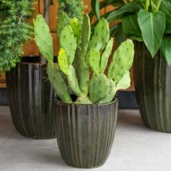 Scott Planters - Set Of 3 - Green -Plants Sale Store Scott Planters Set of 3 Green Lifestyle 01