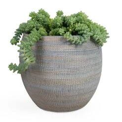 Dex Plant Pot - Earth -Plants Sale Store Sedum Burrito Donkey Tail 14x20cm Dex Plant Pot Earth 22x20cm