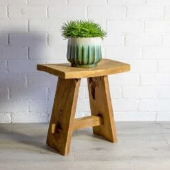 Senecio Himalaya - Himalaya Groundsel -Plants Sale Store Senecio Himalaya Himalaya Groundsel alice ocean plant pot natural a0e2c2c9 2ffa 4495 a6e2 0a94fbfddd15