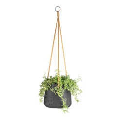 Patt Hanging Plant Pot - Black Washed -Plants Sale Store Senecio peregrinus String of Dolphins 15x25cm Patt Hanging Plant Pot Black Washed 20x17cm 9dbfe7a9 3c90 4a77 a878 0073280b96dc