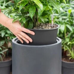 Solid Cylinder Planter - Dark Grey -Plants Sale Store Solid Cylinder Planter Dark Grey 1