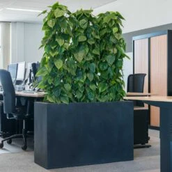 Solid Rectangle Planter - Dark Grey -Plants Sale Store Solid Rectangle Planter Dark Grey 1