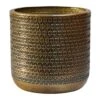 Solis Embossed Plant Pot - Gold -Plants Sale Store Solis Embossed Plant Pot Gold 18x18cm