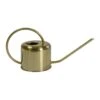 Gold Coloured Watering Can 1L -Plants Sale Store Stainless Steel Watering Can Gold 1L