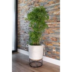 Stefan Plant Baskets - Set Of 3 - Natural -Plants Sale Store Stefan Plant Basket Natural Indoor Tree