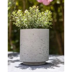 Suzi Plant Pot - Grey Washed -Plants Sale Store Suzi Plant Pot Grey Washed Outdoor Plant