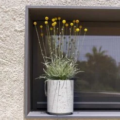 Suzi Plant Pot - Grey Washed -Plants Sale Store Suzi Plant Pot Grey Washed Outdoor Plants