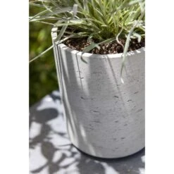 Suzi Plant Pot - Grey Washed -Plants Sale Store Suzi Plant Pots Grey Washed Close Up