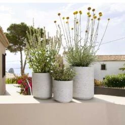 Suzi Plant Pot - Grey Washed -Plants Sale Store Suzi Plant Pots Grey Washed Outdoor Plants