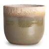 Tarra Plant Pot - Forest -Plants Sale Store Tarra Plant Pot Forest 17x15cm
