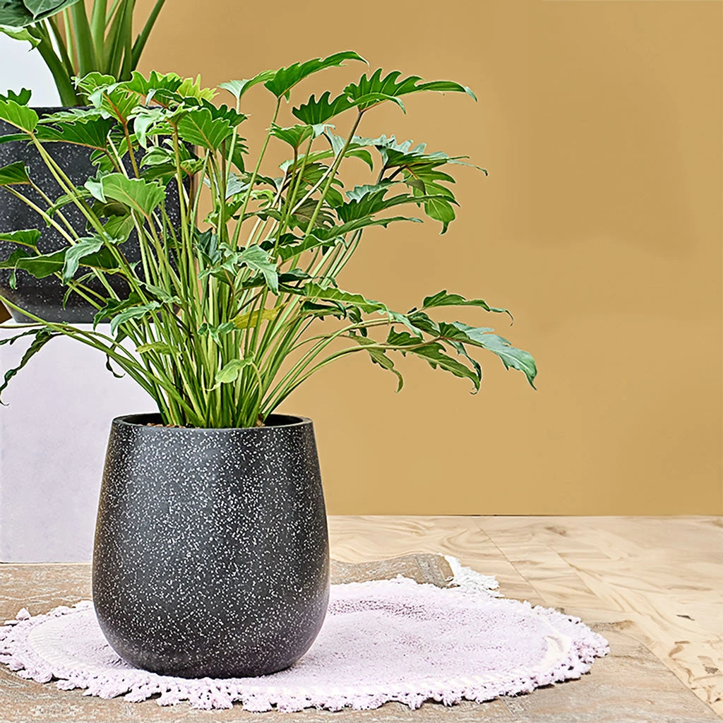 Terrazzo Balloon Planter - Black 4 Terrazzo Balloon Planter - Black - Image 2